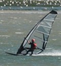 Tim Laureyns