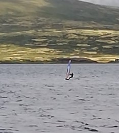 Runar Børstad