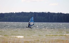 Arturas Buzas