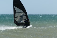 Damien Bernardi